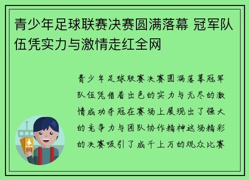 青少年足球联赛决赛圆满落幕 冠军队伍凭实力与激情走红全网
